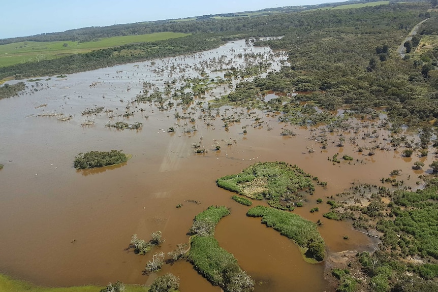 An aerial view of an expanse of a brown inland water body surrounded by trees and green land.