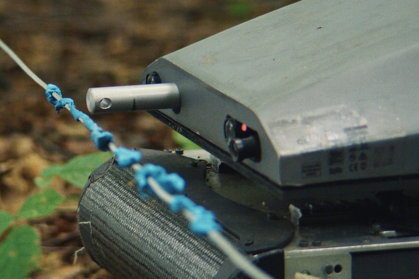 A little robot inspects a cable in a forest in the film Lapsis