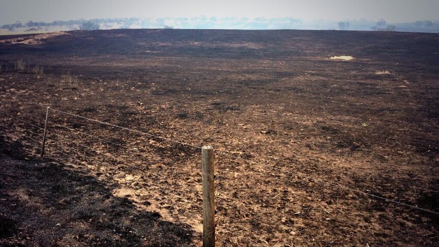 Ground burnt by fire in Eden Valley in South Australia
