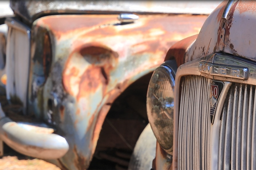 A line of old rusty Rover 90s from the 1950s on the late Mick Ibbett's property.