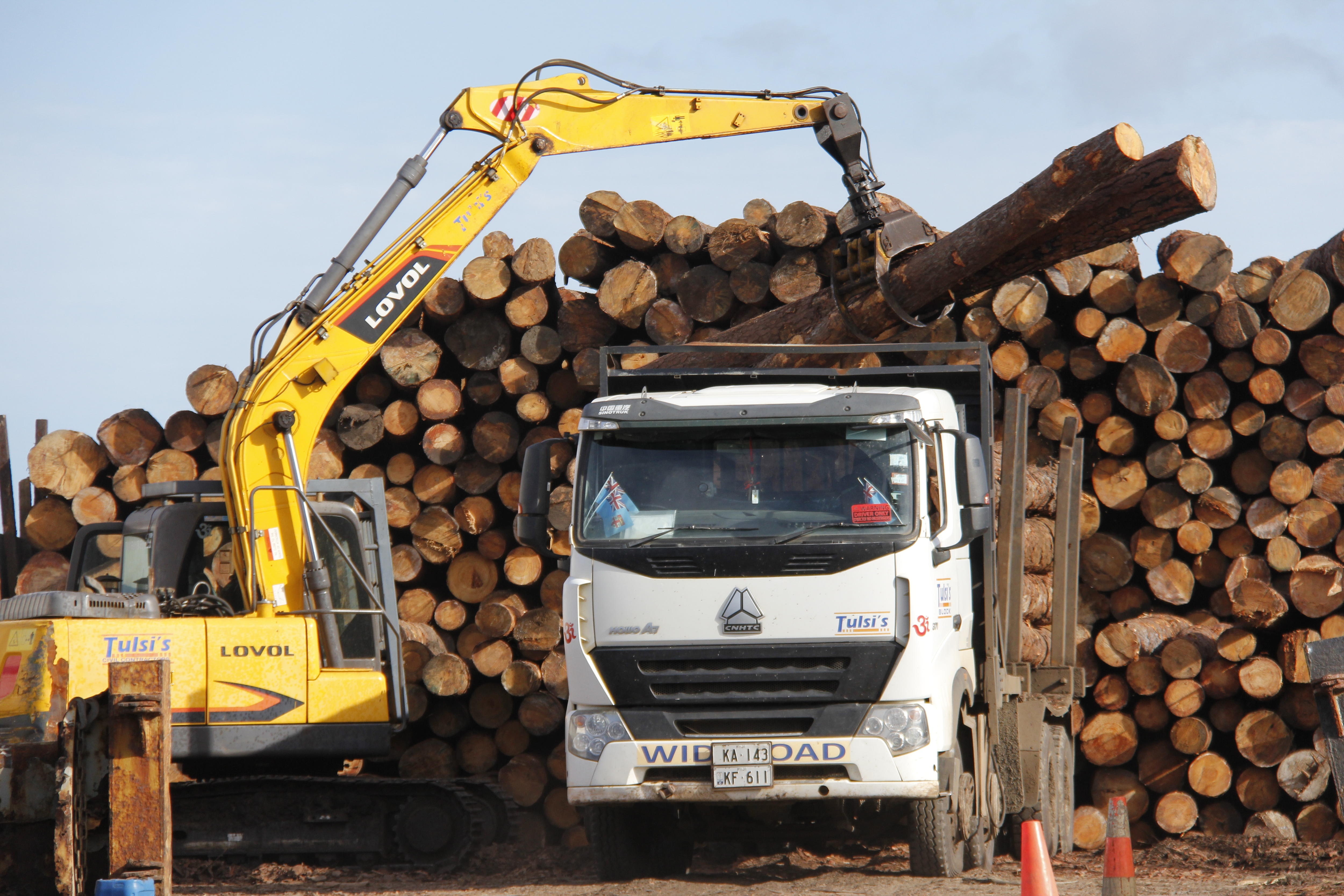 Fijian village head aiming for the right balance in the logging ...