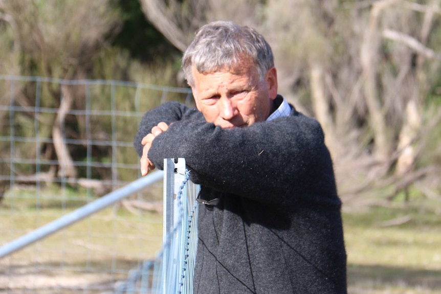 A picture of David Paton, an ecologist and associate professor at the University of Adelaide.