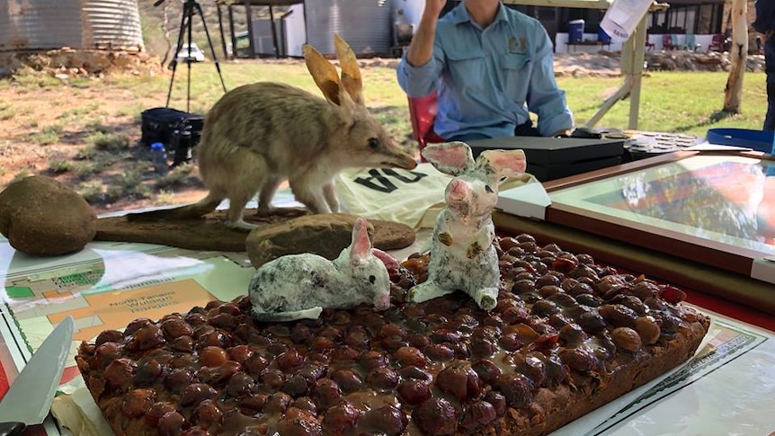 A bilby cake in Alice Springs.