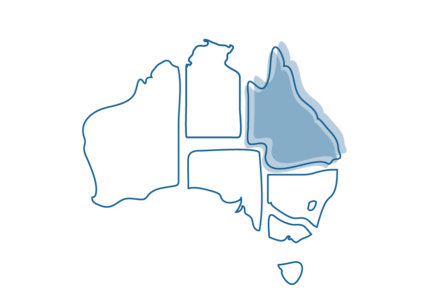 Denis Carnahan: That's in Queensland 2025 episode artwork