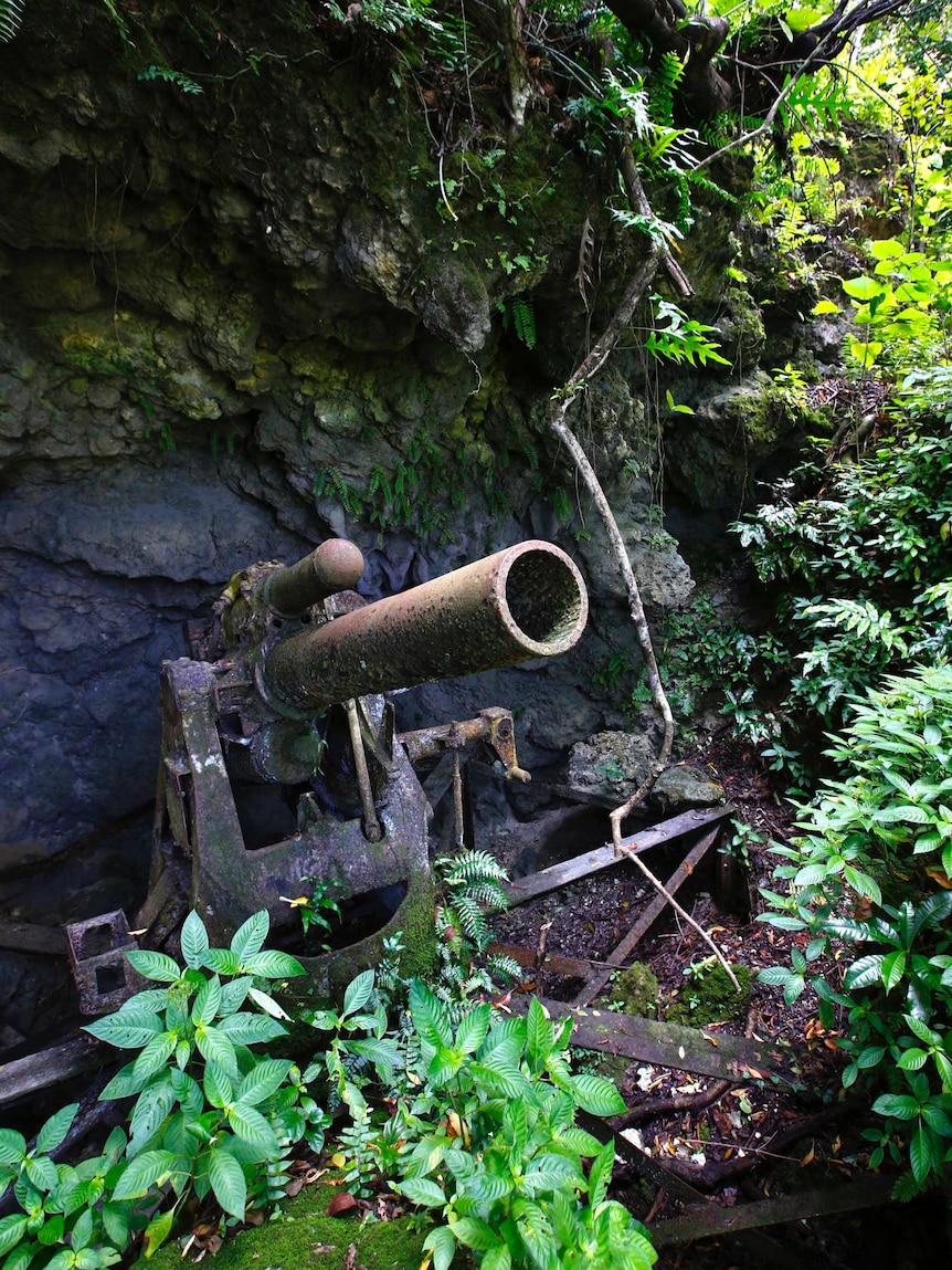 A weapon from World War Two found near caves in Palau