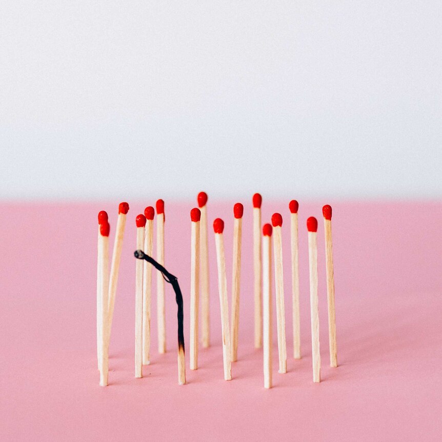 A group of matches stand upright with one burnt match drooping in the middle of the picture.
