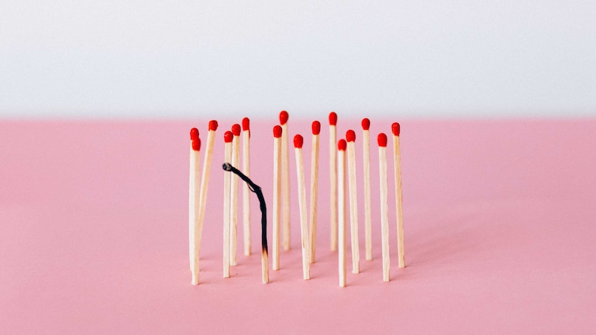 A group of matches stand upright with one burnt match drooping in the middle of the picture.