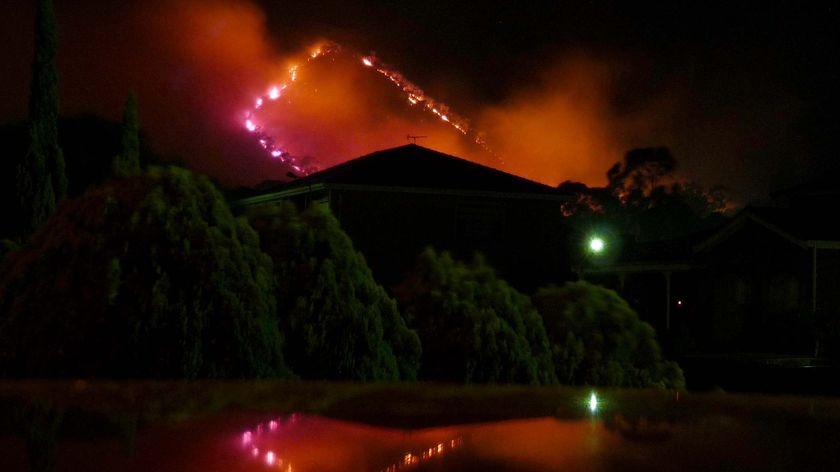 A wall of flame, reflected in a car rooftop, makes its way along Black Hill Conservation Park