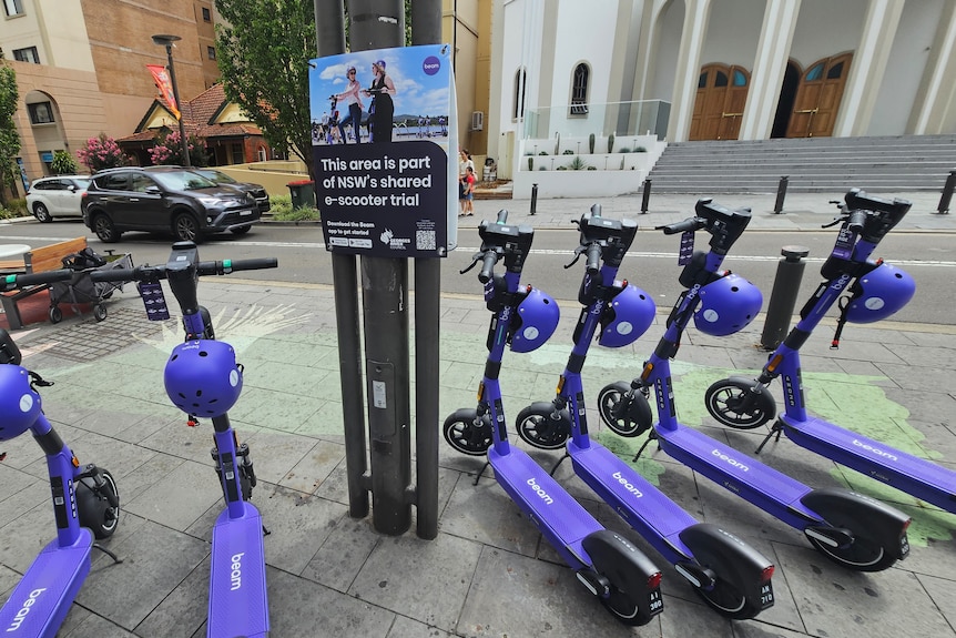 A row of purple scooters by the side of a road