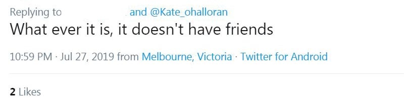 Screenshot of a tweet that says "What ever it is, it doesn't have friends".