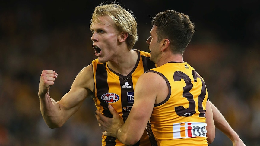 Will Langford is congratulated by Hawthorn team-mate Jonathan Simpkin for his goal against Geelong.