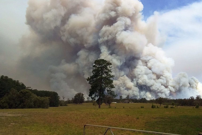 Smoke billows above trees and a field.