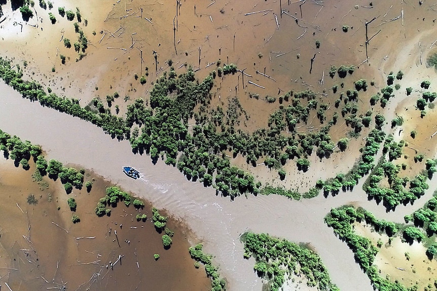 Aerial view of a boat on a narrow river.