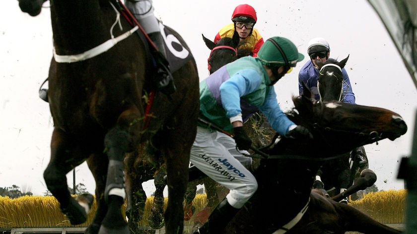 Two previous reviews of jumps racing have prompted new safety measures.