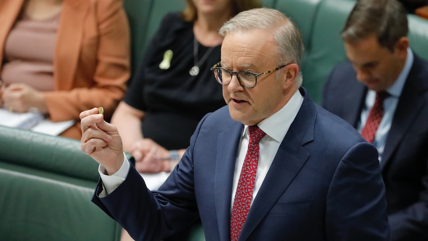 Anthony Albanese holds up a dollar coin while standing in the House of Representatives