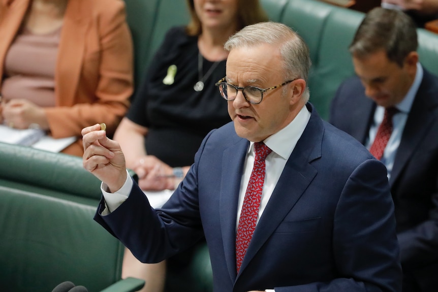 Anthony Albanese holds up a dollar coin while standing in the House of Representatives