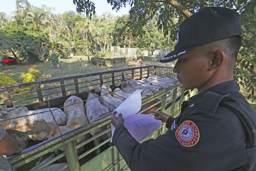 Authorities inspect cattle truck