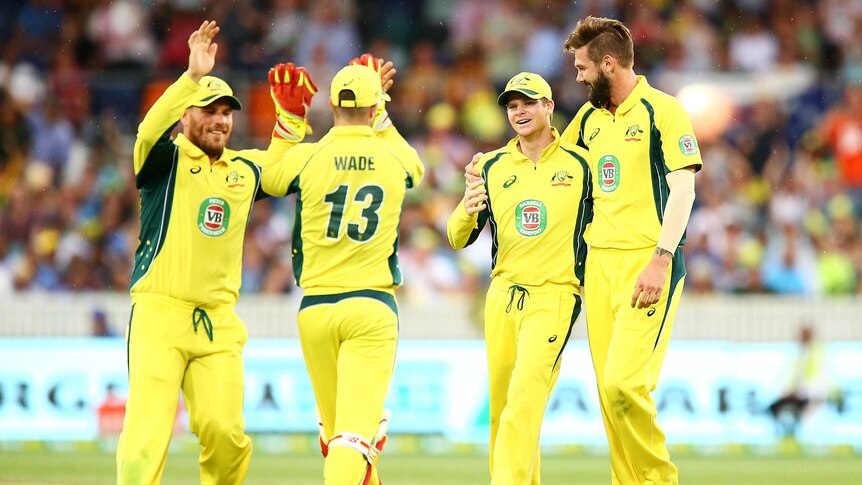 Winning streak ... Australia celebrates a wicket during the one-day international against India at Manuka Oval