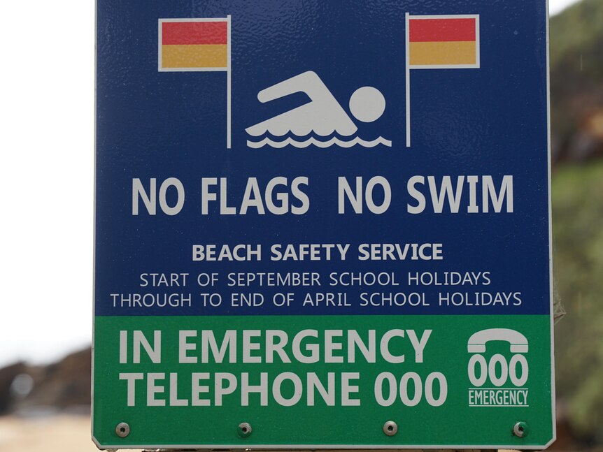 A 'no flags no swim' sign at a beach