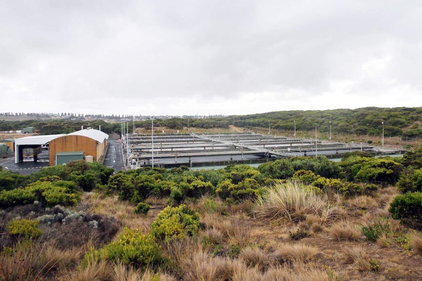 A treatment plant in coastal bushland