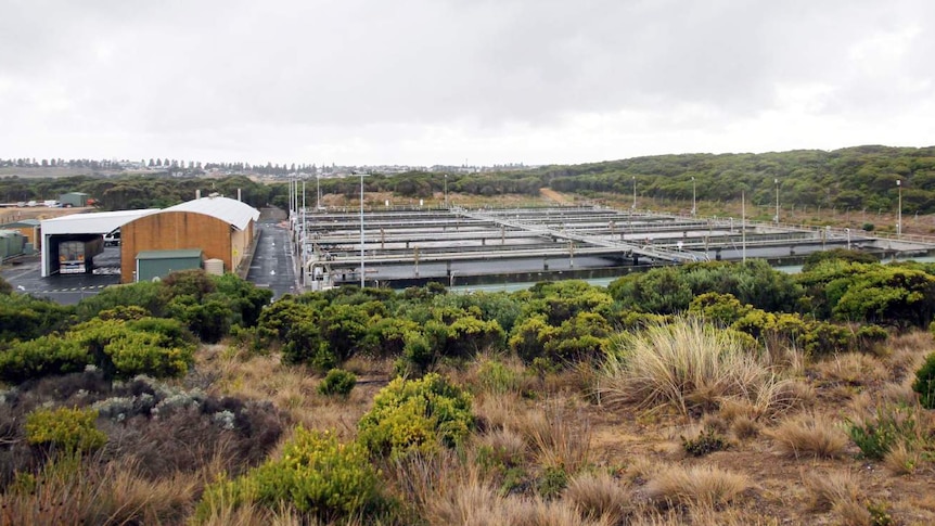 A treatment plant in coastal bushland