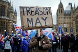 A pro-Brexit protester holds up a cardboard sign that reads "Treason May".