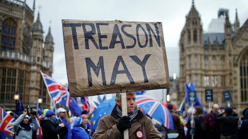 A pro-Brexit protester holds up a cardboard sign that reads "Treason May".