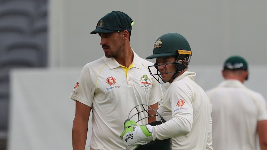 Tim Paine confers with Mitchell Starc