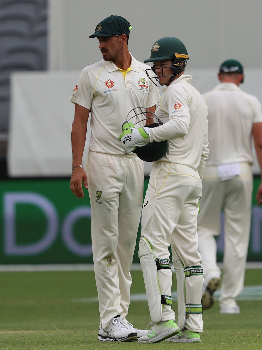 Tim Paine confers with Mitchell Starc