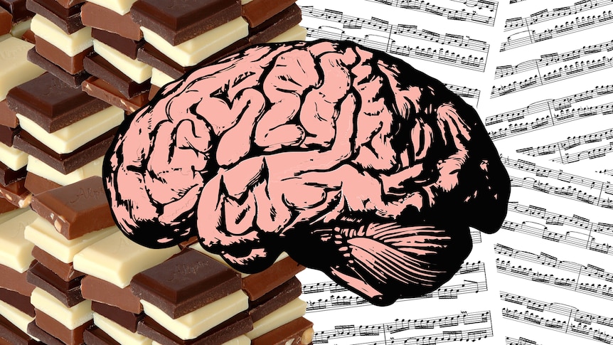 A human brain superimposed over blocks of chocolate and sheet music.