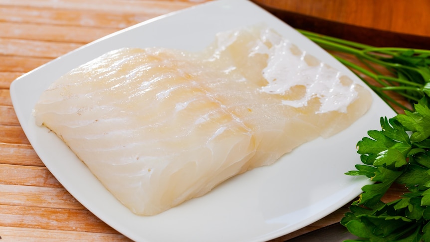 A raw rockling fish fillet, on a white plate with parsley and lemon wedges.
