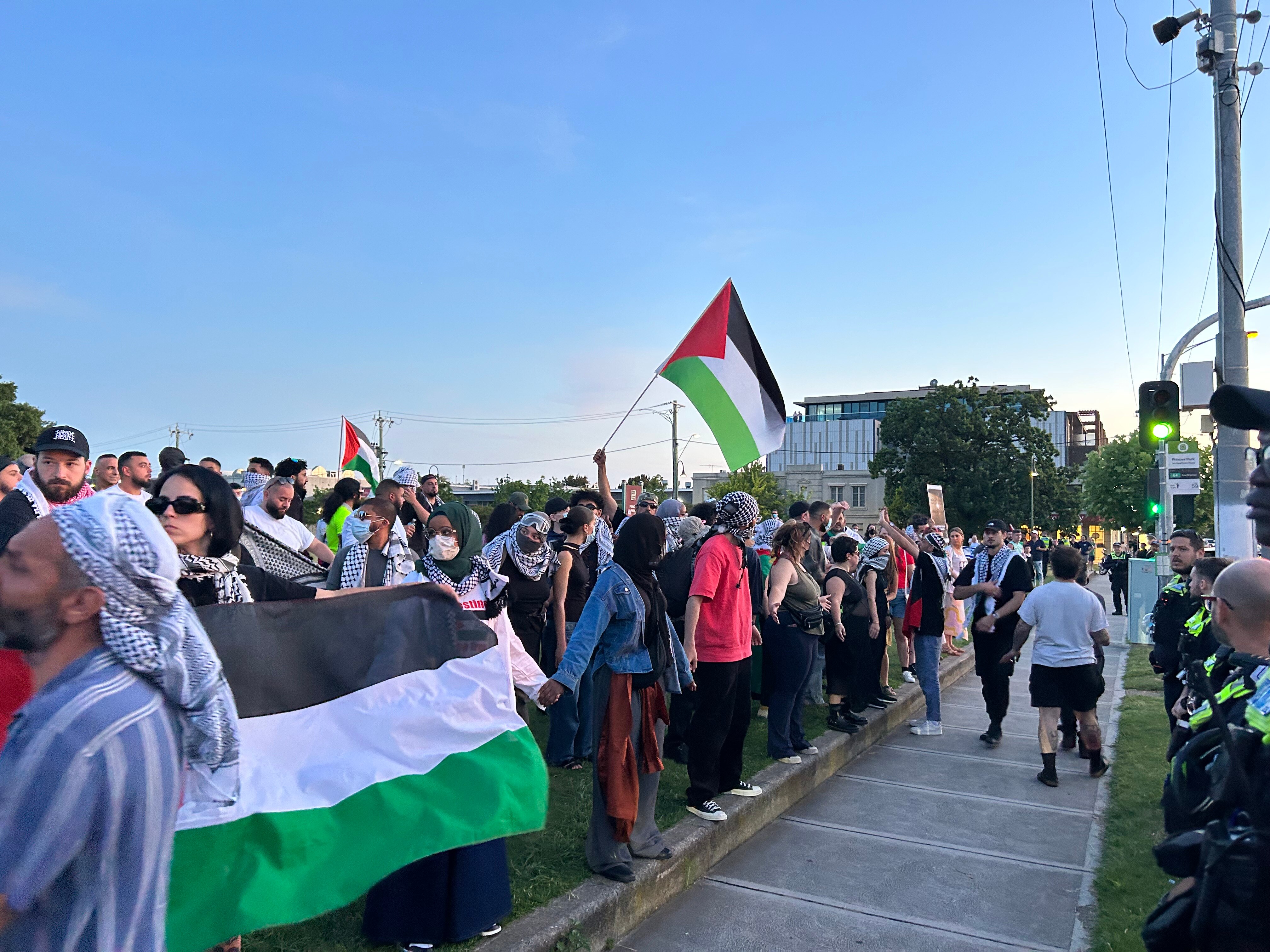 police forming a line in front of a group of protesters with flags