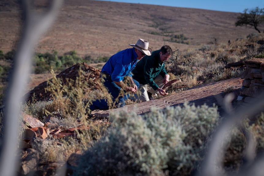 Two men inspect a fossil bed in the Nilpena Ediacara National Park.