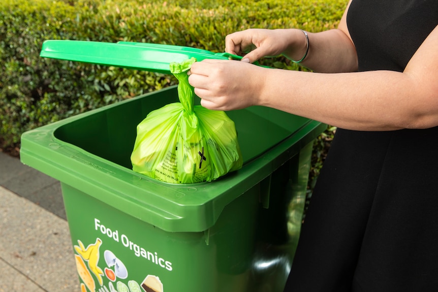 poner a mano una bolsa verde de restos de comida en un contenedor verde