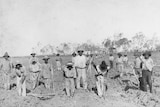 South Sea Islanders planting sugar cane at Ayr, Queensland. Circa 1890. They are wearing shirts, pants and hats.