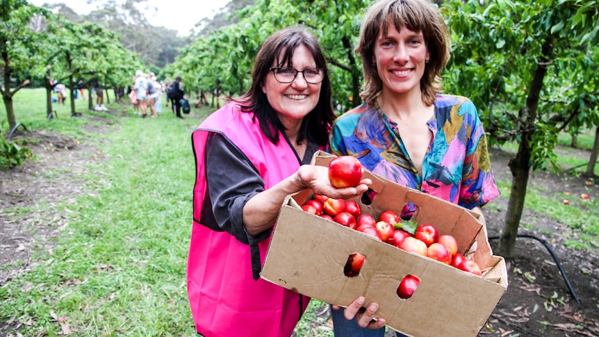Jo-Anne Fahey and Berbel Franse with a box of fruit in the orchard.