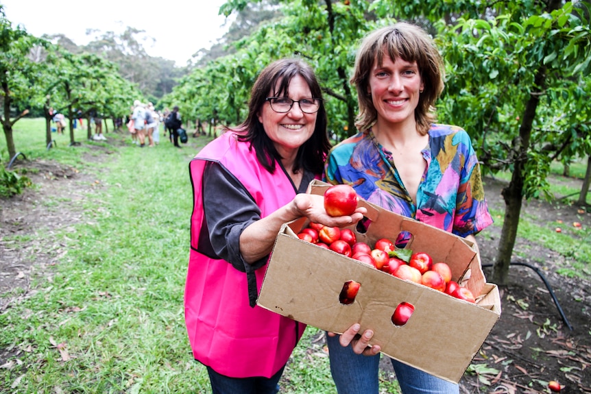 Jo-Anne Fahey and Berbel Franse with a box of fruit in the orchard.