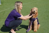 Angie Bain crouches next to Winnie the Groodle at Fremantle's training base in Cockburn