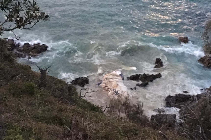 A large whale carcass being tossed about in the surf at the base of a cliff.