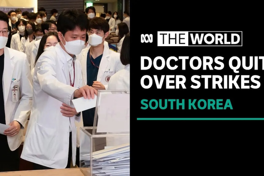 Doctors Quit Over Strikes, SOuth Korea: Men in labcoats place slips of paper in transparent box.