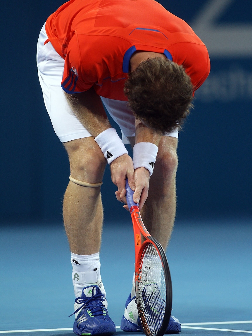 Tough encounter ... Andy Murray shows his frustration (Bradley Kanaris: Getty Images)