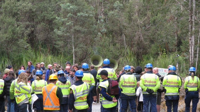 Police face off with demonstrators at a forest protest.