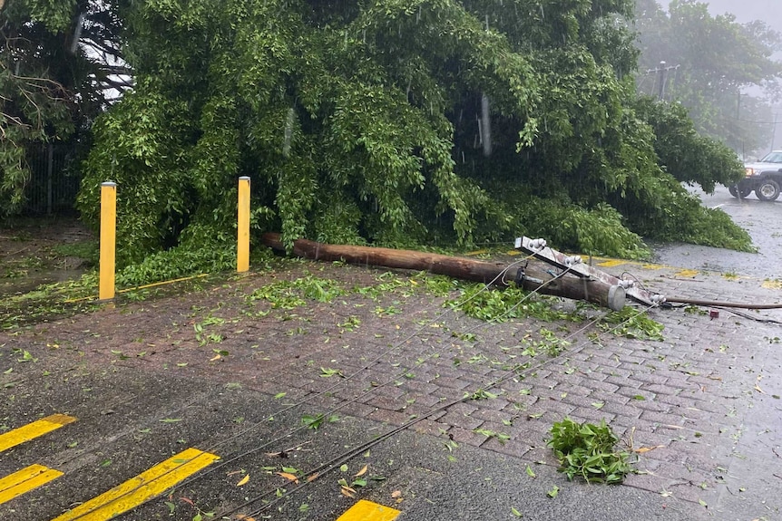 Powerline falls on to the roadway.