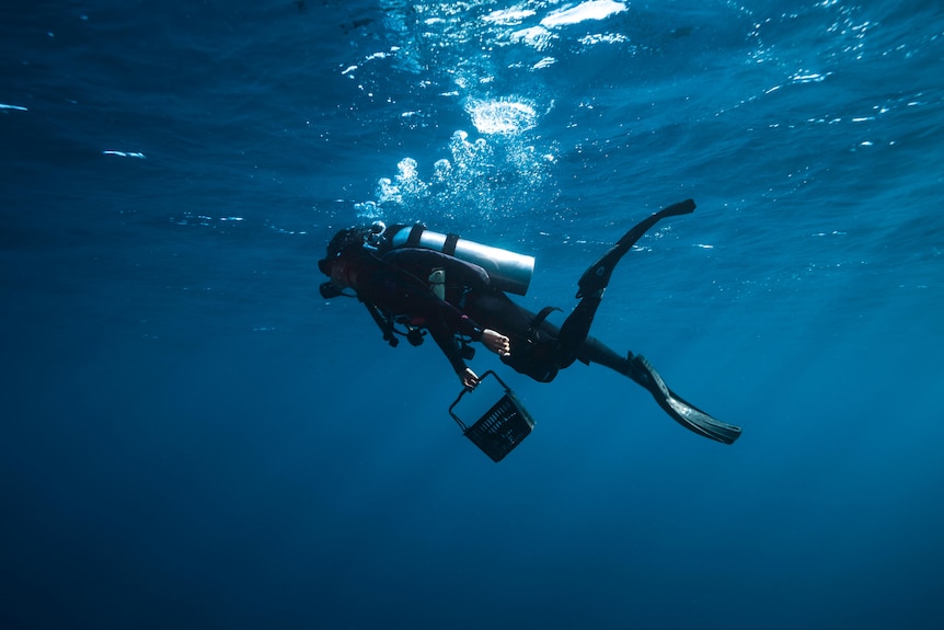 A scuba diver swims along underwater with nothing but deep, dark water in sight, holding a shopping basket.