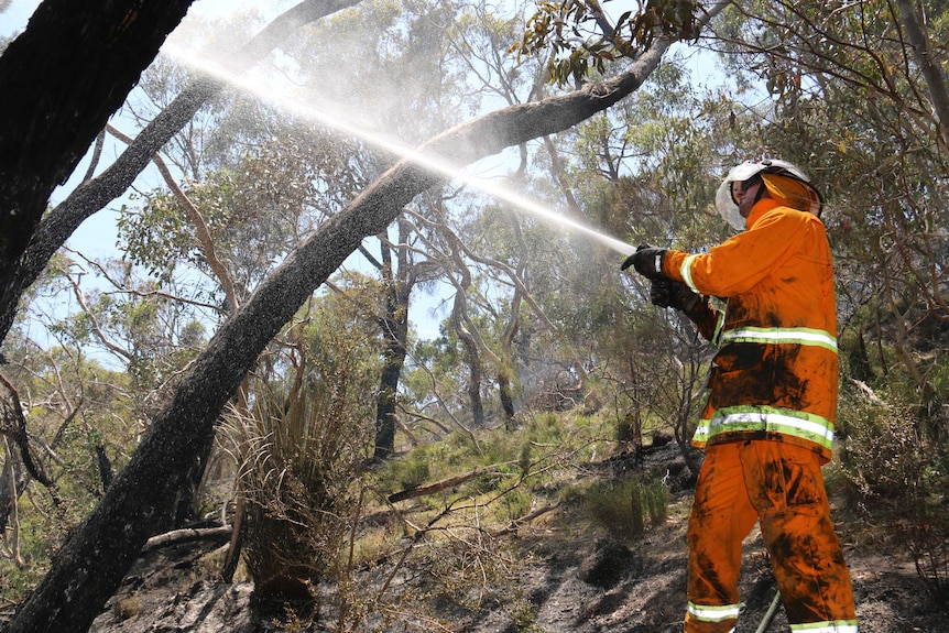 CFS firefighter pours water on a blaze