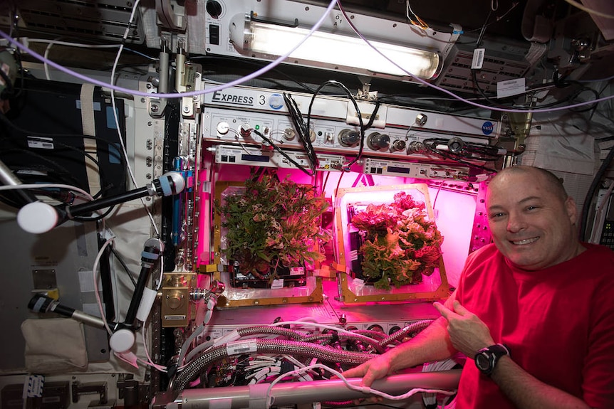 Astronaut in front of plants on ISS