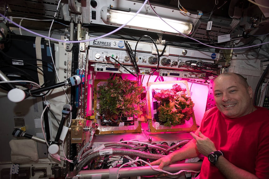 Astronaut in front of the ISS plant