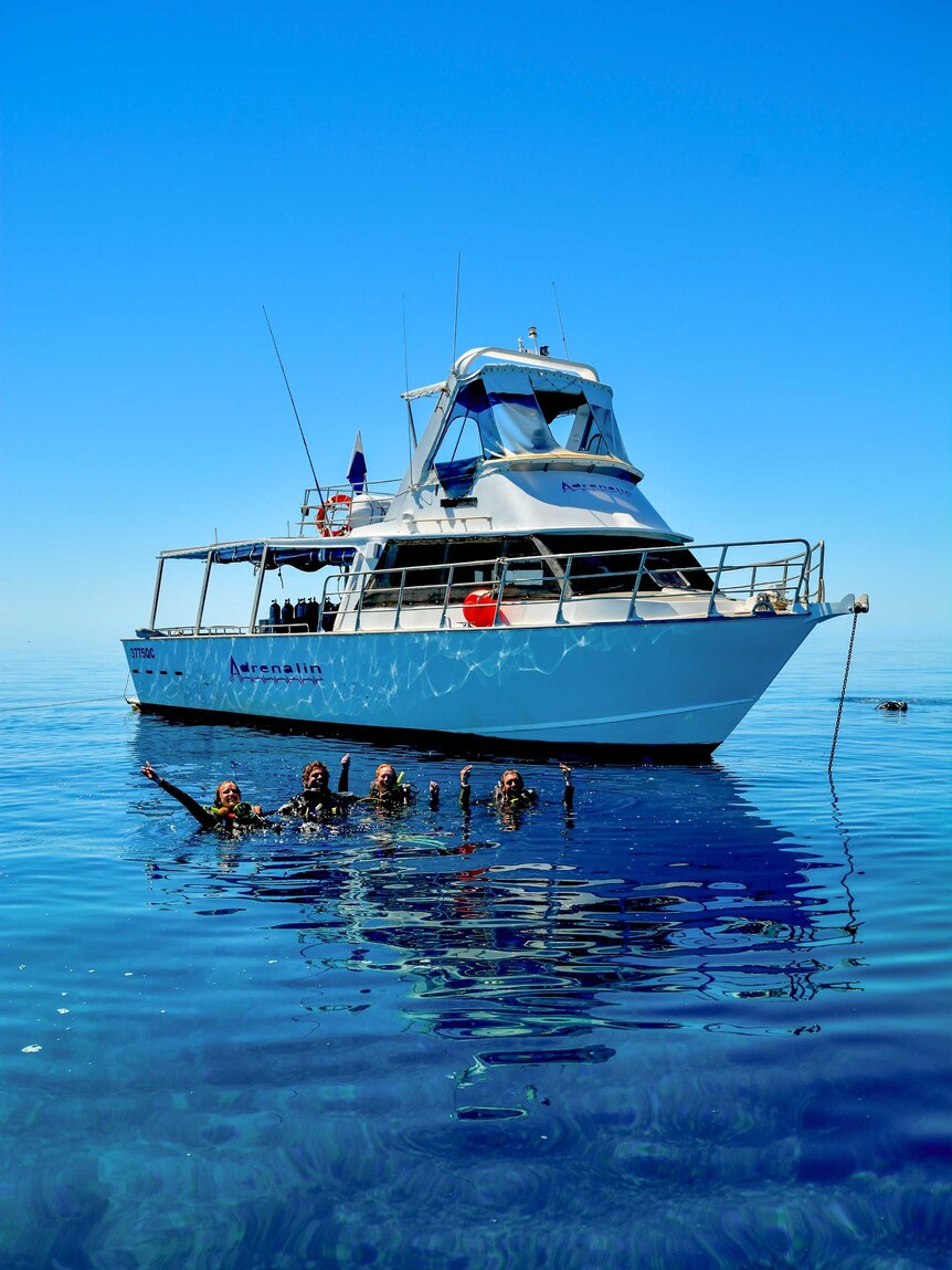 A boat anchored on coral reef.