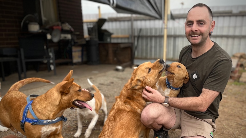 A man kneeling down in his backyard with his four pet downs around him