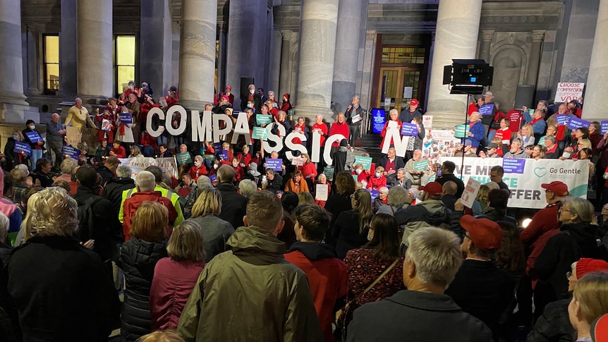 A euthanasia rally on the steps of SA Parliament.